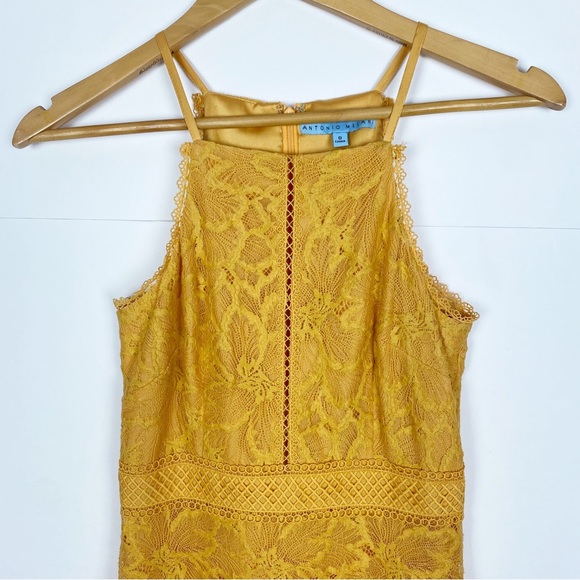 Antonio Melani Heinrich Lace Midi Dress Size 0 - Picture 7 of 10